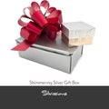 Shimmering silver gift box with a red bow and a smaller white and gold box on a white background, featuring the Silvissions brand.