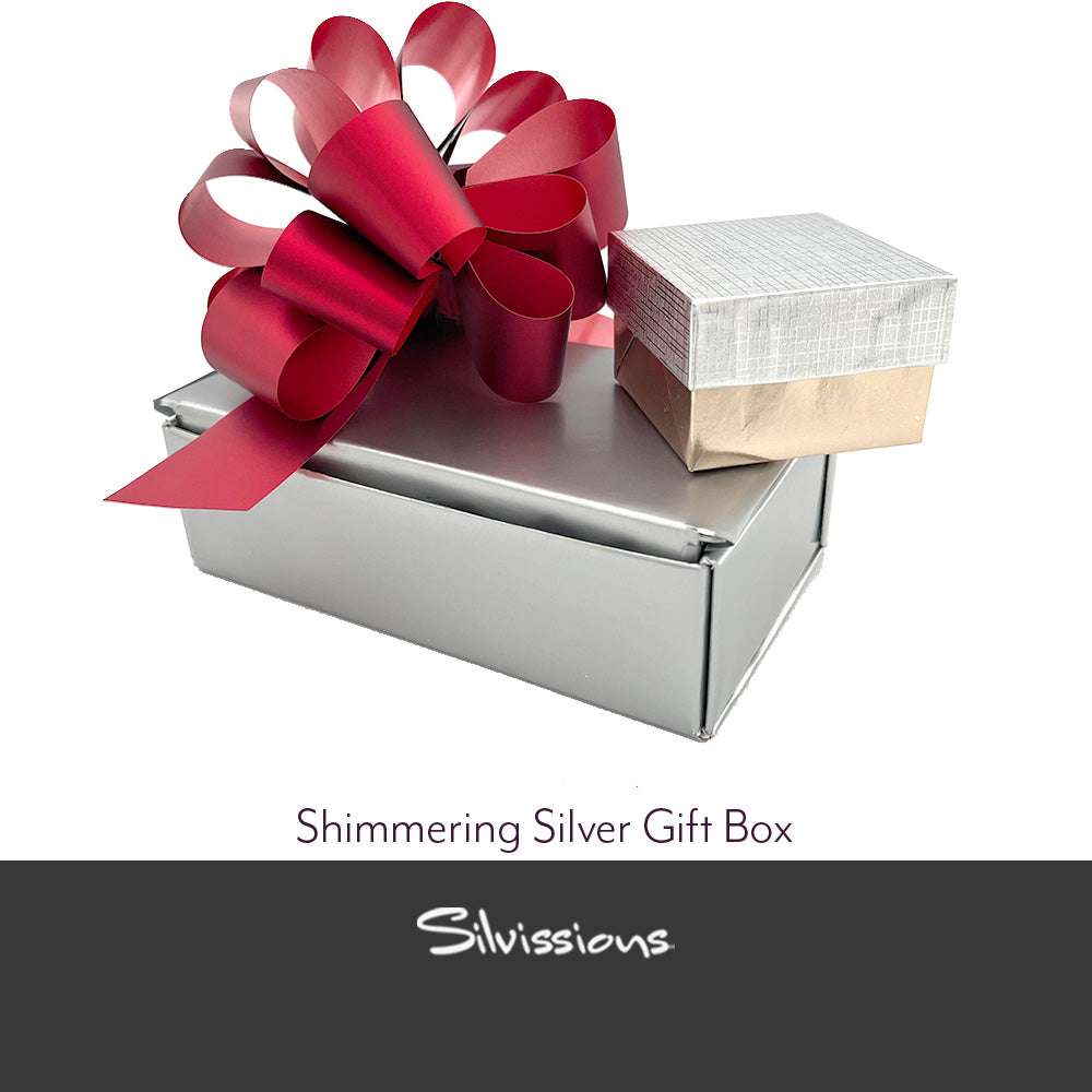 Shimmering silver gift box with a red bow and a smaller white and gold box on a white background, featuring the Silvissions brand.