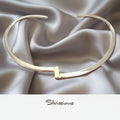 Silver necklace on a light beige background with 'Silvissions' branding.